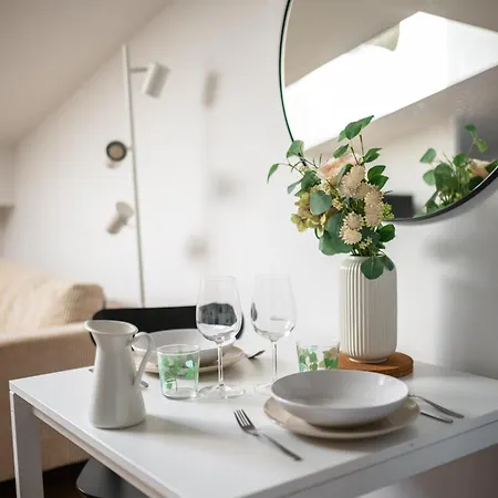 Vieux - Dernier Etage Climatise 尼斯
