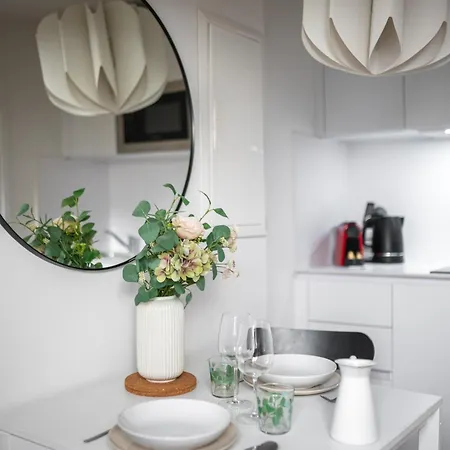 Vieux - Dernier Etage Climatise نيس